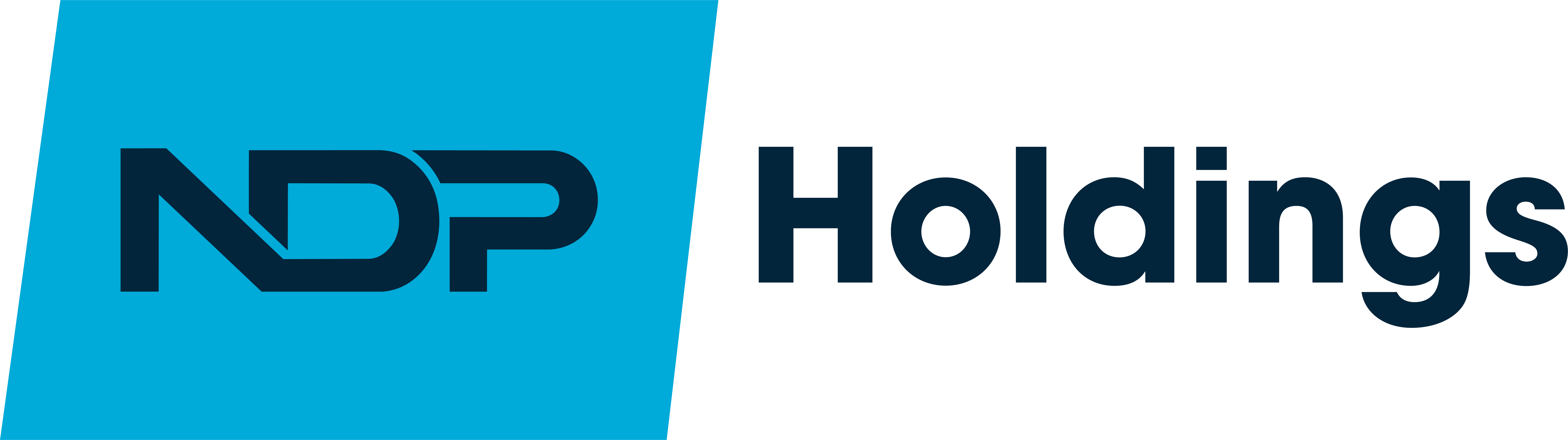 NDP Holdings